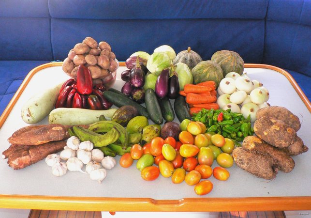 160- Approvisionnement de legumes pour un mois 